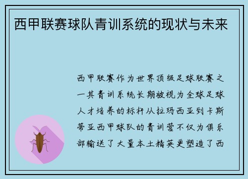 西甲联赛球队青训系统的现状与未来